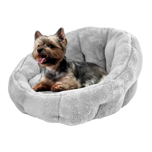 KindTail Kleines orthopädisches Hunde- und Katzenbett, Kunstfell, Luxus-Kuscheltier für Haustiere unter 6,8 kg, bequemes, wasserdichtes Material mit Nylonboden, 50,8 x 35,6 x 25,4 cm, Hellgrau, Größe KindTail Kleines orthopädisches Hunde- und Katzenbett, Kunstfell, Luxus-Kuscheltier für Haustiere unter 6,8 kg, bequemes, wasserdichtes Material mit Nylonboden, 50,8 x 35,6 x 25,4 cm, Hellgrau, Größe von KindTail
