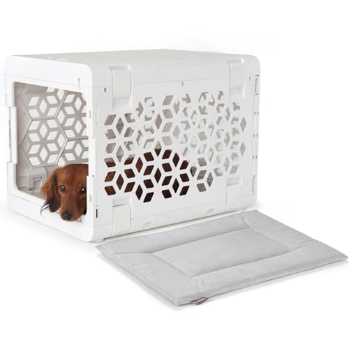 KindTail PAWD Faltbare Hundebox + waschbares Hundebett – Stilvolle Haustierbox mit bequemem PAWD Pad – sicheres Indoor-Welpen- oder Hundehütten-Set – leicht, kompakt & tragbar für Reisen – klein, weiß KindTail PAWD Faltbare Hundebox + waschbares Hundebett – Stilvolle Haustierbox mit bequemem PAWD Pad – sicheres Indoor-Welpen- oder Hundehütten-Set – leicht, kompakt & tragbar für Reisen – klein, weiß von KindTail
