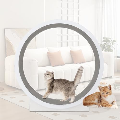 43,3 Zoll Katzenlaufband, GroßEs Laufrad FüR Katzen FüR Drinnen, GeräUscharme KatzenräDer, Katzenlaufrad, Geeignet Zum Abnehmen Und FüR TäGliche Bewegung Von Katzen 43,3 Zoll Katzenlaufband, GroßEs Laufrad FüR Katzen FüR Drinnen, GeräUscharme KatzenräDer, Katzenlaufrad, Geeignet Zum Abnehmen Und FüR TäGliche Bewegung Von Katzen von Kindevieft