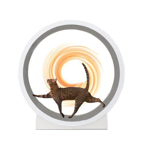 Laufrad FüR Katzen Im Haus, 43,3 Zoll GroßEs Laufband FüR Katzen Laufband, Laufrad FüR Katzen Mit Laufbahn Aus Teppich, Laufrad FüR Hauskatzen, LaufräDer FüR Katzenhamster Laufrad FüR Katzen Im Haus, 43,3 Zoll GroßEs Laufband FüR Katzen Laufband, Laufrad FüR Katzen Mit Laufbahn Aus Teppich, Laufrad FüR Hauskatzen, LaufräDer FüR Katzenhamster von Kindevieft