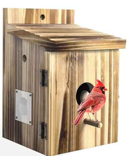 Kleines Vogelhaus (ohne Kamera) von KinetCam