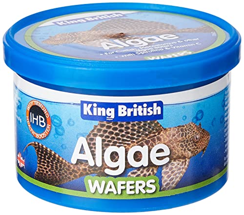 King British Algenwaffer, 40 g von King British