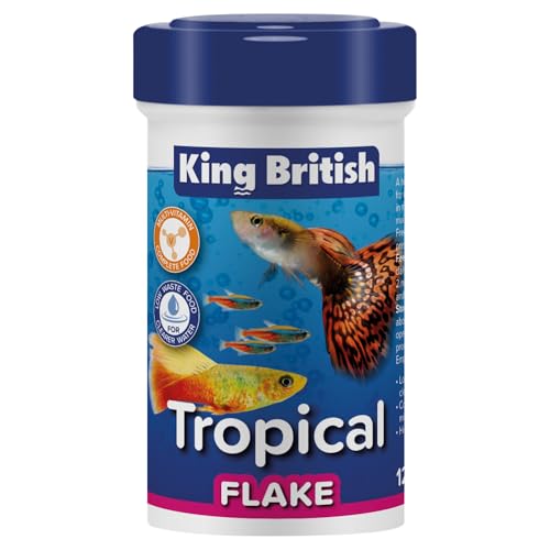 King British Tropische Fischflocken 12 g | Multi-Vitamin-Alleinfuttermittel | klare Wasserformel natürliche Inhaltsstoffe | Für tropische & andere Aquarienfische King British Tropische Fischflocken 12 g | Multi-Vitamin-Alleinfuttermittel | klare Wasserformel natürliche Inhaltsstoffe | Für tropische & andere Aquarienfische von King British