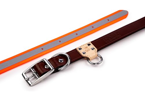 King Buck O Ring Reflektierendes Halsband mit hoher Sichtbarkeit, Orange, S/M, KB-ORC-ORNG-S/M-1 King Buck O Ring Reflektierendes Halsband mit hoher Sichtbarkeit, Orange, S/M, KB-ORC-ORNG-S/M-1 von King Buck