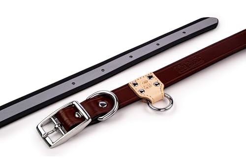 King Buck O Ring Reflektierendes Halsband mit hoher Sichtbarkeit, Schwarz, Größe M King Buck O Ring Reflektierendes Halsband mit hoher Sichtbarkeit, Schwarz, Größe M von King Buck