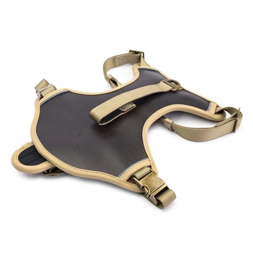 King Buck Premium No-Pull Ledergeschirr, Leder, S/M, KB-LTRHRNS-LTR-S/M-1 von King Buck
