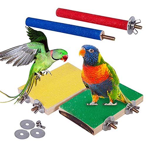 KingbeefLIU 4 Stück Pet Bird Parrot Claw Schleifen Bar Stick Stand Barsch Holzbrett Kauspielzeug Vogel Beißen Spielzeug Zum Klettern Und Kauen Zufällige Farbe 4 Stück KingbeefLIU 4 Stück Pet Bird Parrot Claw Schleifen Bar Stick Stand Barsch Holzbrett Kauspielzeug Vogel Beißen Spielzeug Zum Klettern Und Kauen Zufällige Farbe 4 Stück von KingbeefLIU