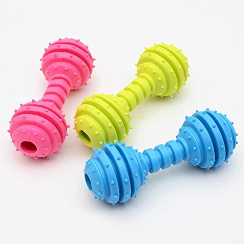 KingbeefLIU Spielzeug Kreative Hund Katze Spielzeug Gummi Spike Langhantel Kauen Biss Reinigung Zahn Haustierzubehör Zufällige Farbe KingbeefLIU Spielzeug Kreative Hund Katze Spielzeug Gummi Spike Langhantel Kauen Biss Reinigung Zahn Haustierzubehör Zufällige Farbe von KingbeefLIU
