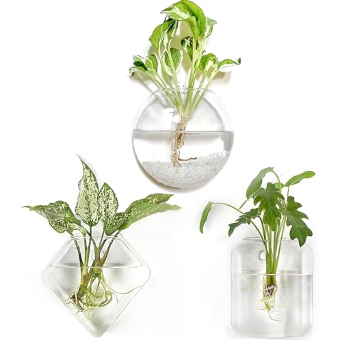 Kingbuy Wand-Pflanzgefäße, Anzuchtstationen für Zimmerpflanzen, hängende Glas-Terrarien, Vase, Behälter für die Vermehrung von Hydrokulturpflanzen, Blumen, Zuhause, Büro, Wohnzimmer, Badezimmer Kingbuy Wand-Pflanzgefäße, Anzuchtstationen für Zimmerpflanzen, hängende Glas-Terrarien, Vase, Behälter für die Vermehrung von Hydrokulturpflanzen, Blumen, Zuhause, Büro, Wohnzimmer, Badezimmer von Kingbuy