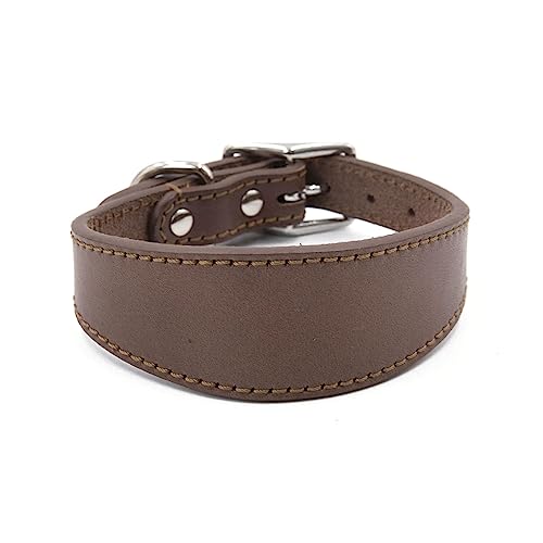 Kingke Leathers Dogs Collar Soft Padded Collar for Whippets Salukis Sighthounds Dogs Adjustable Collar Large Breeds Dogs Supply Kingke Leathers Dogs Collar Soft Padded Collar for Whippets Salukis Sighthounds Dogs Adjustable Collar Large Breeds Dogs Supply von Kingke