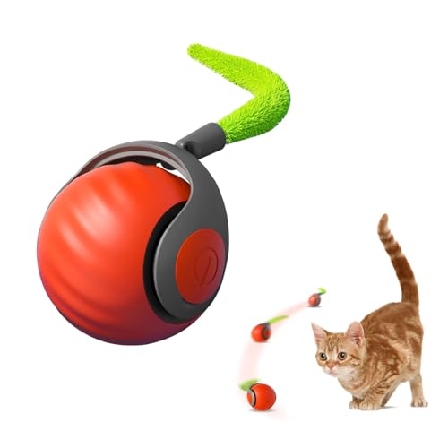 Interaktives Katzenspielzeug Ball,Wiederaufladbarer Elektrischer Katzenball mit Federschwanz,2 Modi Automatisches Kätzchenspielzeug für Hauskatzen Selbstbeschäftigung Spielzeugball (Orange) Interaktives Katzenspielzeug Ball,Wiederaufladbarer Elektrischer Katzenball mit Federschwanz,2 Modi Automatisches Kätzchenspielzeug für Hauskatzen Selbstbeschäftigung Spielzeugball (Orange) von Kinizuxi