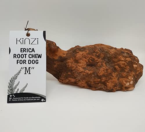 Kinzi Kauwurzel für Hunde aus Baumheide Kauspielzeug Spielzeug Baumheidewurzel Natürlich M von Kinzi