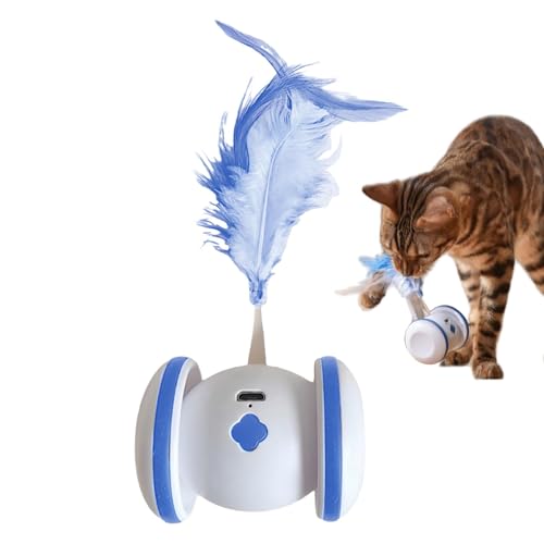 Kioriur Automatisches mobiles Spielzeug, automatisches Spielzeug für Katzen im Innenbereich | Katzenspielzeug wiederaufladbar über USB mit Feder | Spielzeug für Katzen, interaktives Intelligentes Kioriur Automatisches mobiles Spielzeug, automatisches Spielzeug für Katzen im Innenbereich | Katzenspielzeug wiederaufladbar über USB mit Feder | Spielzeug für Katzen, interaktives Intelligentes von Kioriur