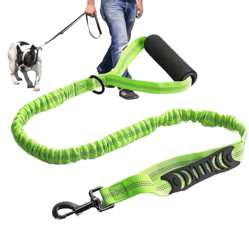 Kioriur Hundeleine für Spaziergänge, Leine aus Nylon für Hunde | reflektierende Leine aus Nylon für Haustiere, hohe Dichte mit Griff, Leine Kioriur Hundeleine für Spaziergänge, Leine aus Nylon für Hunde | reflektierende Leine aus Nylon für Haustiere, hohe Dichte mit Griff, Leine von Kioriur