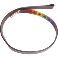 Kipita Polo Hundeleine Rainbow von Kipita