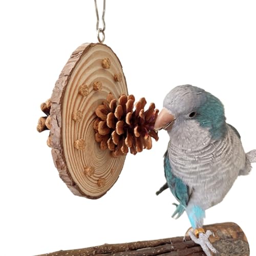 Vogel-Kauspielzeug aus, Papageien-Unplug-Spielzeug, Beißtraining für Futtersuche-Vogelspielzeug, Papageienstopper, Vogelspielzeug zum Kauen und Futtersuchen, Papageien-Stressa Vogel-Kauspielzeug aus, Papageien-Unplug-Spielzeug, Beißtraining für Futtersuche-Vogelspielzeug, Papageienstopper, Vogelspielzeug zum Kauen und Futtersuchen, Papageien-Stressa von Kirdume