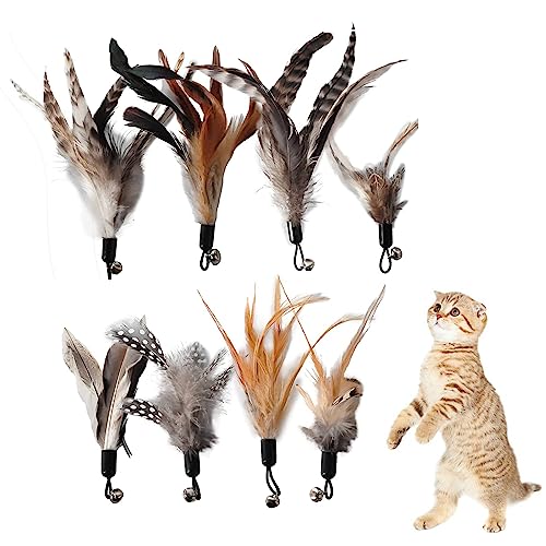 Kireida® 8 Stück Cat Feather Toys Ersatz - Katzen Federspielzeug für Katzen ohne chemische Farbstoffe – inklusive Nachfüllungen für natürliche Katzenfedern von Kireida