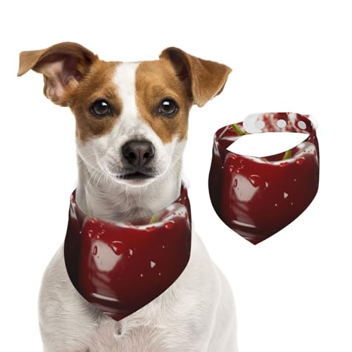 Delicious Fruits Hundehalstuch für kleine, mittelgroße und große Hunde, Dreieckstuch für Mädchen oder Jungen von Kirrowe