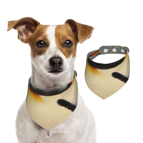 Hundehalstuch mit Pinguinmotiv für kleine, mittelgroße und große Hunde, Dreieckstuch für Mädchen oder Jungen Hundehalstuch mit Pinguinmotiv für kleine, mittelgroße und große Hunde, Dreieckstuch für Mädchen oder Jungen von Kirrowe