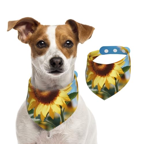Hundehalstuch mit blühenden Sonnenblumen, für kleine, mittelgroße und große Hunde, Dreieckstuch für Mädchen oder Jungen von Kirrowe