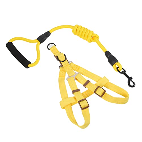 Kisangel Hundeleinen-Set Hundeleine Zum Spazierengehen Bequemes Und Robustes Set Kisangel Hundeleinen-Set Hundeleine Zum Spazierengehen Bequemes Und Robustes Set von Kisangel