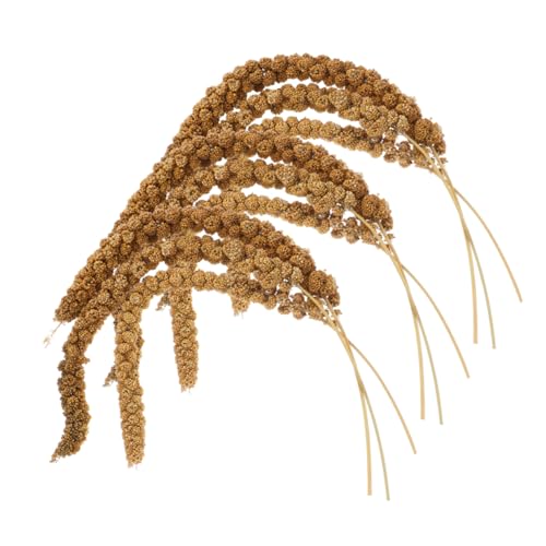 Kisangel 1 Satz Natürlichem Papageienfutter Trockengetreide für Nymphensittiche Wellensittiche und Andere Vögel Gesund und Appetitanregend Praktische Aufbewahrung von Kisangel