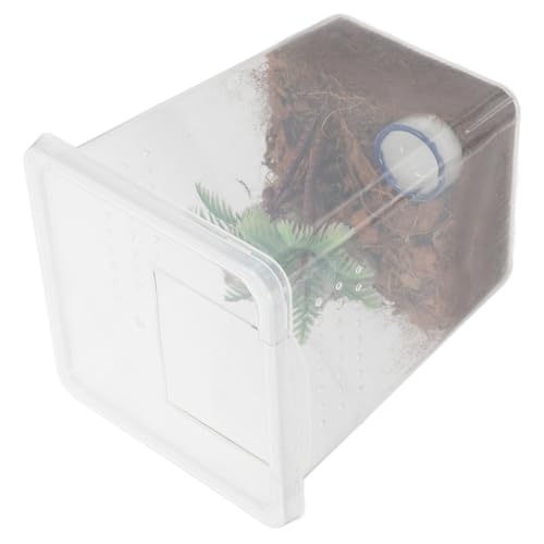 Kisangel Spinnen Futterbox Aus Kunststoff Transparenter Spinnenkäfig Für Springspinnen Kleine Haustierbox Zuchtbox Für Insekten Geeignet Für Spinnenzucht Im Innenbereich von Kisangel