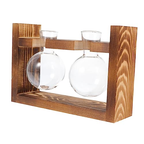 Kisangel 1 Satz Vase einmachgläser kunstpflanze hochzeitsdeco hochzeitsdeko hochzeitdeko Anlage Beige Sukkulenten Pflanzen modern Blumentopf blumenladen versorgung Desktop-Dekoration Glas von Kisangel
