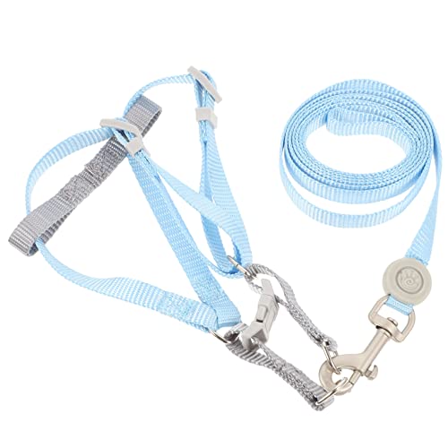 Kisangel 1satz Verstellbarem Katzengeschirr Und Leine Für Kleine Katzen Leicht Und Flexibel Für Sicheres Spazierengehen Und Blau s von Kisangel