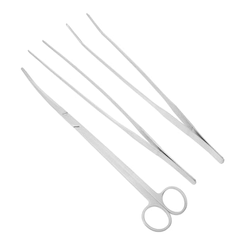 Kisangel 1 Satz Werkzeuge Für Aquarien Zubehör Für Aquarien Pflanzen Wasser- Fischtankdekoration Fischaquarium Gebogen Algenschaber Für Aquarien Anlage Pinzette Rostfreier Stahl Silver von Kisangel