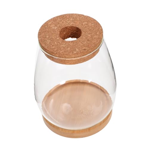 Kisangel 1 Set Hydroponische Blumentopfvasen Pflanzenterrarium Töpfe Für Pflanzen Flasche Terrarium Glas Moos Terrarium Tischschmuck Ökosystem Terrarium Mikrolandschaft Behälterglas von Kisangel