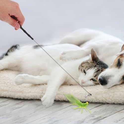 Kisangel 1 Set Katzen-Teaser-Zauberstab: Realistisches Grashüpfer-Katzen-Zauberstab-Spielzeug mit Glöckchen – Interaktives Teaser-Stick-Spielzeug aus Silikonfedern für Indoor-Spaß Kisangel 1 Set Katzen-Teaser-Zauberstab: Realistisches Grashüpfer-Katzen-Zauberstab-Spielzeug mit Glöckchen – Interaktives Teaser-Stick-Spielzeug aus Silikonfedern für Indoor-Spaß von Kisangel