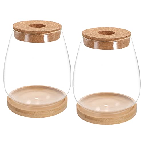 Kisangel Einzigartiger Blumenhalter Aus Glas Mit Sockel Landschaftsbehältervase Für Die Innendekoration Kisangel Einzigartiger Blumenhalter Aus Glas Mit Sockel Landschaftsbehältervase Für Die Innendekoration von Kisangel