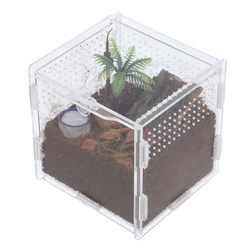 Kisangel Elegante Acryl Spinne Terrarium Springen Spinne Käfig Einfache Reinigung Beobachtung Lebensräume für Kisangel Elegante Acryl Spinne Terrarium Springen Spinne Käfig Einfache Reinigung Beobachtung Lebensräume für von Kisangel
