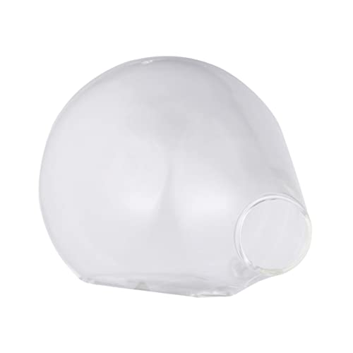 Kisangel 1 Stück Blumenhalter Aus Glas Fisch Hydro Saftiges Terrarium Hängender Topf Tank Zimmertöpfe Für Pflanzen Pflanzenvase Zur Wandmontage Pflanzgefäße Für Zimmerpflanzen Container von Kisangel