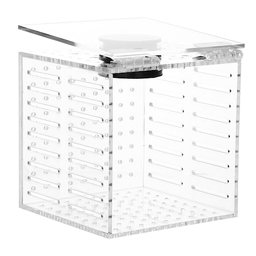 Kisangel Aquarium Brüterei Fisch Tank Brüterei Acryl Fisch Isolation Box Sicher für Jungfische von Kisangel