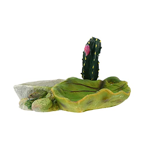 Kisangel 1 Stück Reptilien Futterschale und Wasserschale aus Umweltfreundlichem Material für Schildkröten und Echsen Vielseitig Einsetzbar Füttern Trinken und Baden von Kisangel