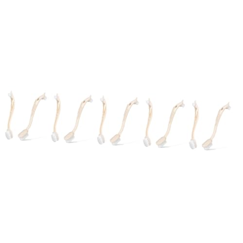 Kisangel 10 STK Küchenreinigungsschuhbürste Fugenbürste Vogel Reinigungsbürste Stiefelpoliturschrubber Küchenreinigungsbürste Schuhwaschbürste Spülbeckenbürste Teppichbürste Beige Kisangel 10 STK Küchenreinigungsschuhbürste Fugenbürste Vogel Reinigungsbürste Stiefelpoliturschrubber Küchenreinigungsbürste Schuhwaschbürste Spülbeckenbürste Teppichbürste Beige von Kisangel