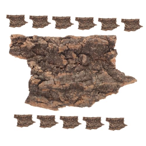 Kisangel 12 Stück Holzmaterial Reptilienbox- Schlangen-Aquarium-zubehör – Dekorativer Hintergrund Aus Rinde von Kisangel