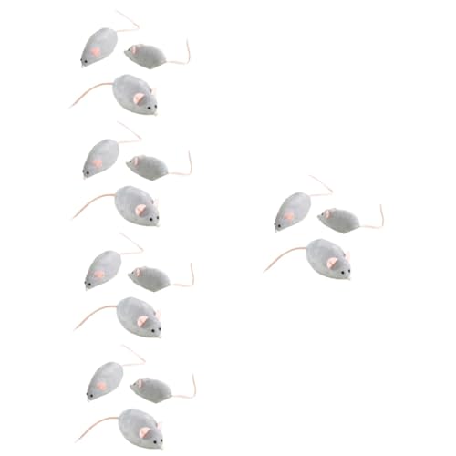 Kisangel 15 STK Katze- -Spielzeug interaktives Spielzeug katzenpflege Spielzeug für Katzenaktivität rattenspielzeuge Katzenminze Katzenspielzeug Katzen-Teaser Zubehör Katze necken pp Kisangel 15 STK Katze- -Spielzeug interaktives Spielzeug katzenpflege Spielzeug für Katzenaktivität rattenspielzeuge Katzenminze Katzenspielzeug Katzen-Teaser Zubehör Katze necken pp von Kisangel
