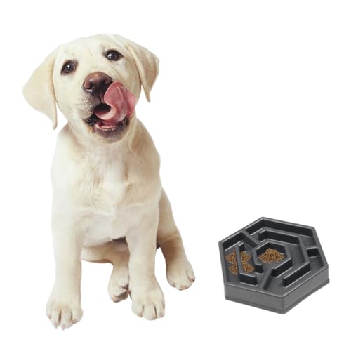 Kisangel 1Stk Hund langsamer Esser Slow-Feeder-Gerichte Schüssel für Hunde Hundenäpfe Haustiernapf Katzenfutter Anti-Ersticken Zubringer Slow-Food-Bowl Hundenapf Fressnapf von Kisangel