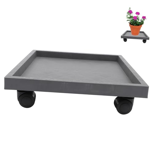 Kisangel Pflanzenuntersetzer Mit Beweglicher Blumentopf-Halter Pflanztablett Aus Hochwertigem Material Praktisch Und Langlebig Verhindert Wasseraustritt Und Bodenverschmutzung Kisangel Pflanzenuntersetzer Mit Beweglicher Blumentopf-Halter Pflanztablett Aus Hochwertigem Material Praktisch Und Langlebig Verhindert Wasseraustritt Und Bodenverschmutzung von Kisangel