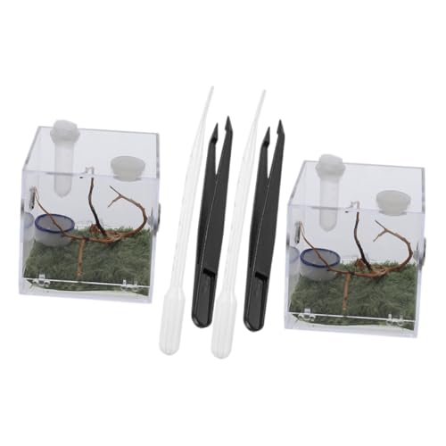 Kisangel 2 Sätze Jumping Spider Terrarium Zuchtbox mit Pinzette und Tropfer Leichter Reptilienzuchtbehälter für Kleine Spinnen Schnecken und Insekten Praktische Aufzuchtdose für von Kisangel