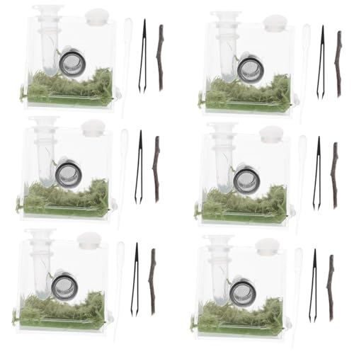 Kisangel 2sätze Spinne Gehäuse Box Transparent Kunststoff Insekten Fütterung Fall Spinnengehege Box Mit Belüftungsöffnungen Für Springspinnen Spinne Lebensraum von Kisangel
