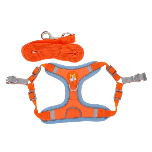 Kisangel 2 Sets Hundeset Komfortables Hautfreundliches Weste-Leine-trainingsset Für Hunde Outdoor-hundeversorgung Kisangel 2 Sets Hundeset Komfortables Hautfreundliches Weste-Leine-trainingsset Für Hunde Outdoor-hundeversorgung von Kisangel