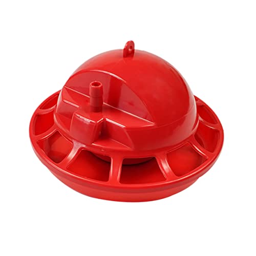 Kisangel 2stücke Hühnertränke Automatisch Wassertränke Für Geflügel Hühnertränke Tränke Futternapf Geflügelwassertränken Trinkwasserschale Bauernhof Landwirtschaftsgeräte Kisangel 2stücke Hühnertränke Automatisch Wassertränke Für Geflügel Hühnertränke Tränke Futternapf Geflügelwassertränken Trinkwasserschale Bauernhof Landwirtschaftsgeräte von Kisangel