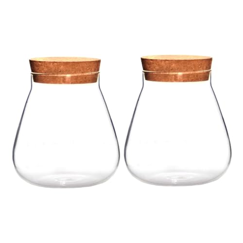Kisangel 2 Stück Flasche Aus Korkglas Hausbedarf Mikrolandschaft Terrarium Mikro-landschaftsglas Ökologisches Glas Klare Glasflasche Glasvase Display-Topf Mikro-landschaftsvase Brown Holz Kisangel 2 Stück Flasche Aus Korkglas Hausbedarf Mikrolandschaft Terrarium Mikro-landschaftsglas Ökologisches Glas Klare Glasflasche Glasvase Display-Topf Mikro-landschaftsvase Brown Holz von Kisangel