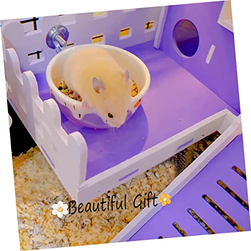 Kisangel 2 Stück Keramik Futternäpfe für Hamster und Kleine Haustiere Kompakte Platzsparende Schalen und Blau Lebensmittelecht und Robust für Futter und Wasser von Kaninchen Rennmäusen Kisangel 2 Stück Keramik Futternäpfe für Hamster und Kleine Haustiere Kompakte Platzsparende Schalen und Blau Lebensmittelecht und Robust für Futter und Wasser von Kaninchen Rennmäusen von Kisangel