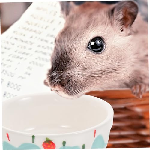 Kisangel 2 Stück Keramik Futternapf rutschfest Tiefer Napf für Hamster Meerschweinchen Kaninchen Stabile Futter und Wasserschale mit Design für Kleine Kleintiere Kisangel 2 Stück Keramik Futternapf rutschfest Tiefer Napf für Hamster Meerschweinchen Kaninchen Stabile Futter und Wasserschale mit Design für Kleine Kleintiere von Kisangel