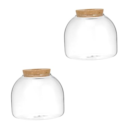 Kisangel 2 Stück Micro Landscape Terrarium Glasvase mit Korkverschluss für Hydrokultur Miniatur Moos und Pflanzenbehälter Dekoratives Flaschenglas für DIY Mikrogärten Geeignet als und Kisangel 2 Stück Micro Landscape Terrarium Glasvase mit Korkverschluss für Hydrokultur Miniatur Moos und Pflanzenbehälter Dekoratives Flaschenglas für DIY Mikrogärten Geeignet als und von Kisangel